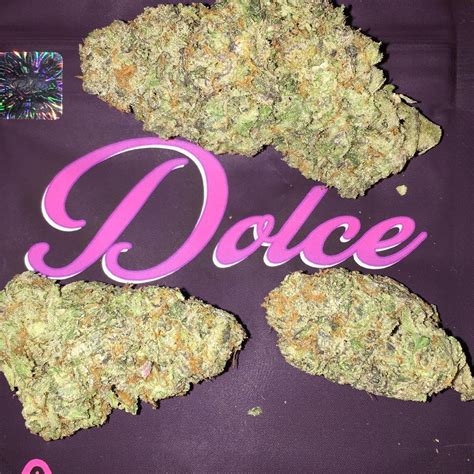 dolce strain reviews